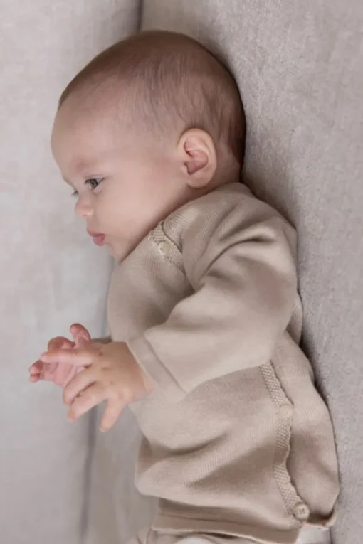 Feetje Truien & Vesten^Baby trui bruin