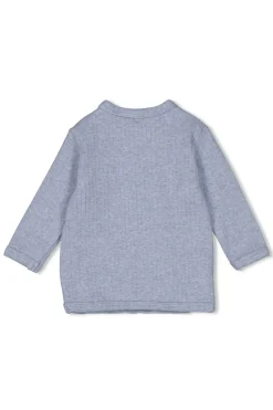 Feetje T-shirts^Baby t-shirt lange mouw blauw