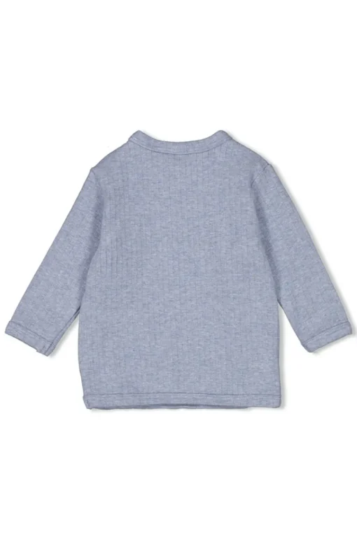 Feetje T-shirts^Baby t-shirt lange mouw blauw