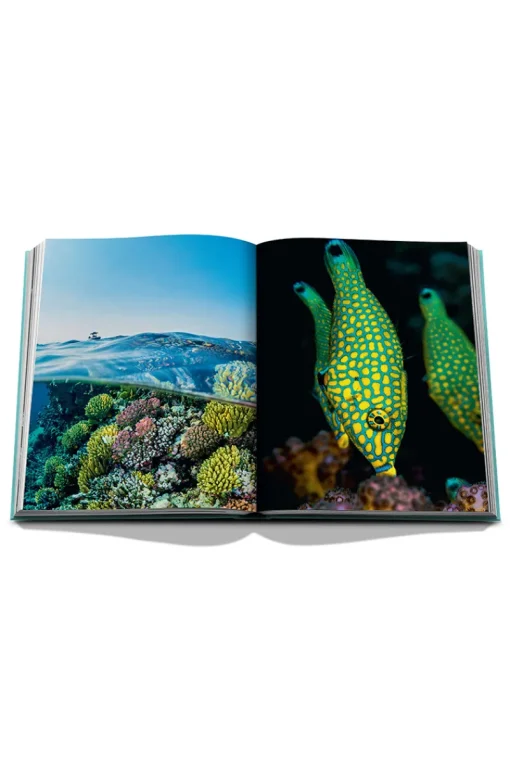 Assouline Boeken|Sportaccessoires^Boeken diversen