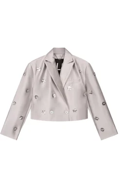 Alix the Label Jeans & Casuals|Blazers^Dames blazer zilver