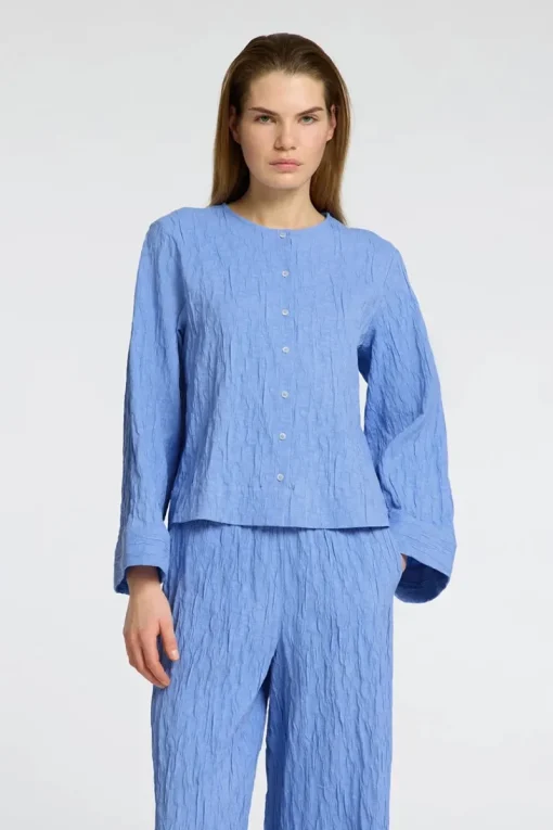 Selected Jeans & Casuals|Blouses^Dames blouse lange mouw blauw