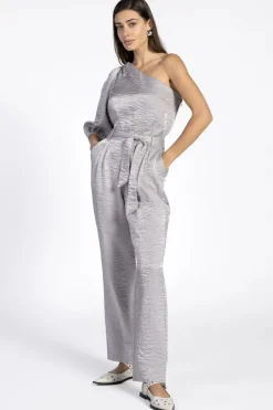 Aaiko Jeans & Casuals|Jumpsuits^Dames jumpsuit/tuinbroek zilver