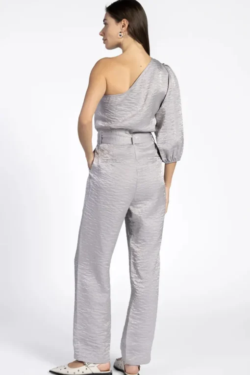 Aaiko Jeans & Casuals|Jumpsuits^Dames jumpsuit/tuinbroek zilver