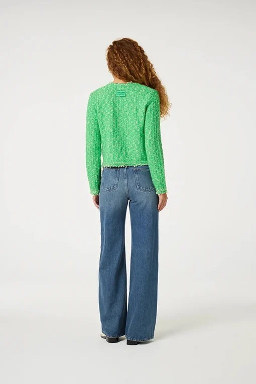 Fabienne Chapot Jeans & Casuals|Truien & Vesten^Dames vest groen