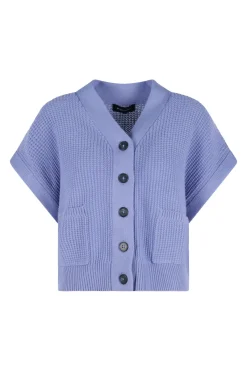 Repeat Modern Classics|Truien & Vesten^Dames vest paars