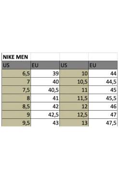 Nike Schoenen^Fitnessschoenen heren blauw