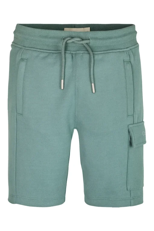 Calvin Klein Broeken^Jongens short groen