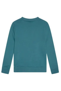 Lyle & Scott Truien & Vesten^Jongens sweater blauw