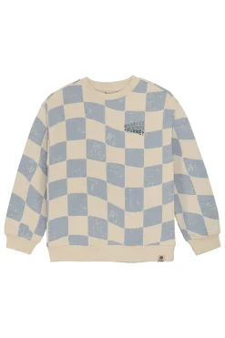 Daily7 Truien & Vesten^Jongens sweater blauw