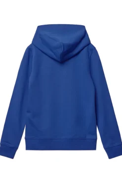 Calvin Klein Truien & Vesten^Jongens sweater blauw