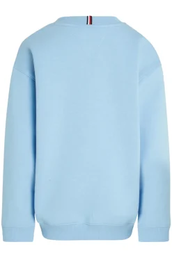 Tommy Hilfiger Truien & Vesten^Jongens sweater blauw