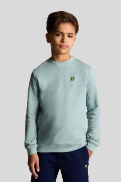 Lyle & Scott Truien & Vesten^Jongens sweater blauw