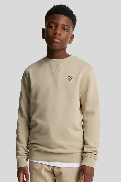 Lyle & Scott Truien & Vesten^Jongens sweater bruin