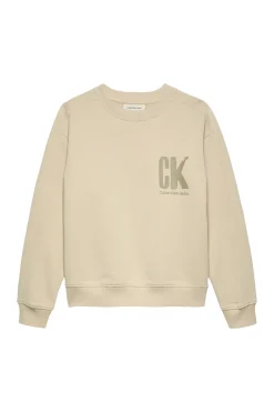 Calvin Klein Truien & Vesten^Jongens sweater bruin