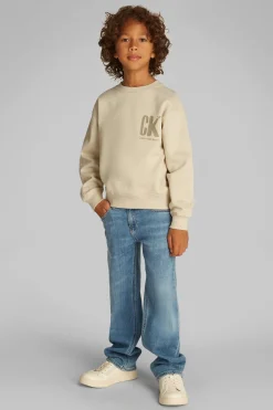 Calvin Klein Truien & Vesten^Jongens sweater bruin