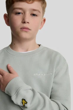 Lyle & Scott Truien & Vesten^Jongens sweater grijs