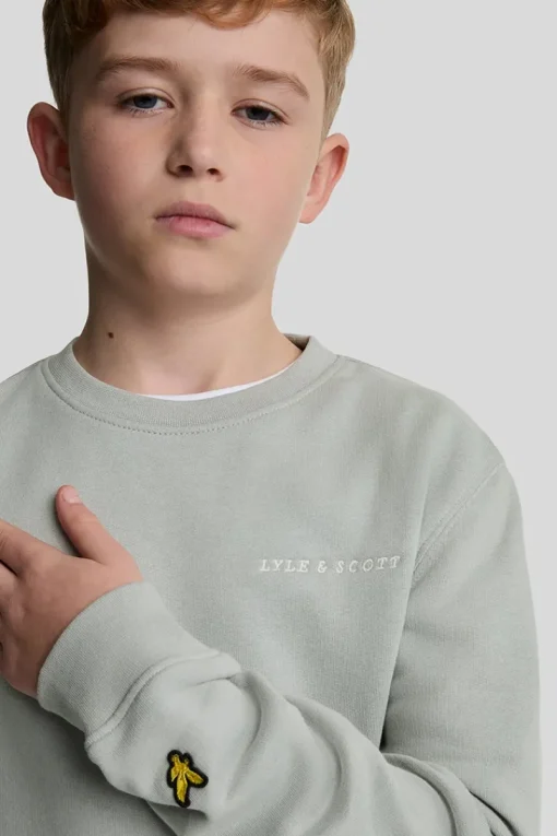 Lyle & Scott Truien & Vesten^Jongens sweater grijs