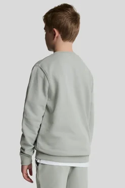 Lyle & Scott Truien & Vesten^Jongens sweater grijs