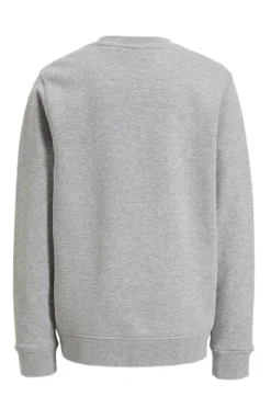 Lyle & Scott Truien & Vesten^Jongens sweater grijs