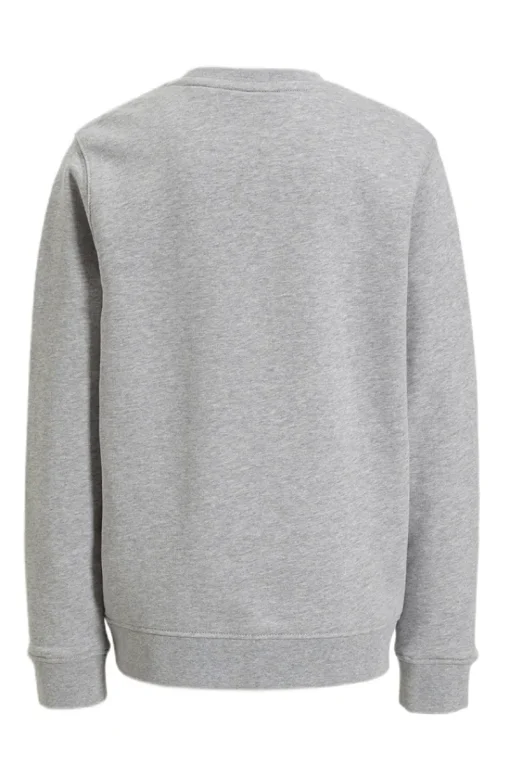 Lyle & Scott Truien & Vesten^Jongens sweater grijs