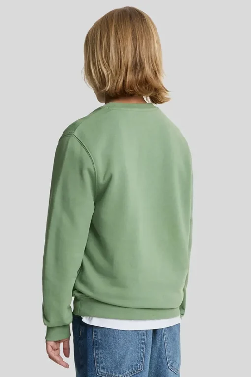 Lyle & Scott Truien & Vesten^Jongens sweater groen