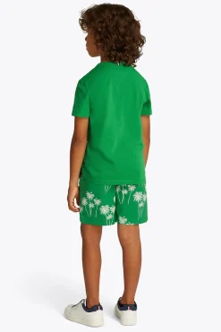 Tommy Hilfiger T-shirts & Polo's^Jongens t-shirt korte mouw groen