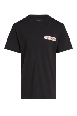 Calvin Klein T-shirts & Polo's^Jongens t-shirt korte mouw zwart