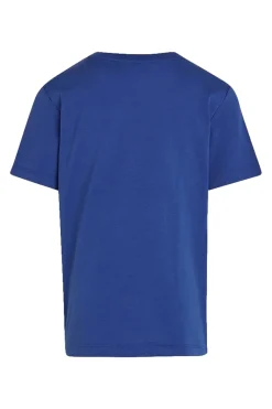 Calvin Klein T-shirts & Polo's^Jongens t-shirt korte mouw blauw