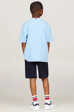 Tommy Hilfiger T-shirts & Polo's^Jongens t-shirt korte mouw blauw