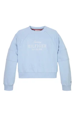 Tommy Hilfiger Truien & Vesten^Meisjes sweater blauw