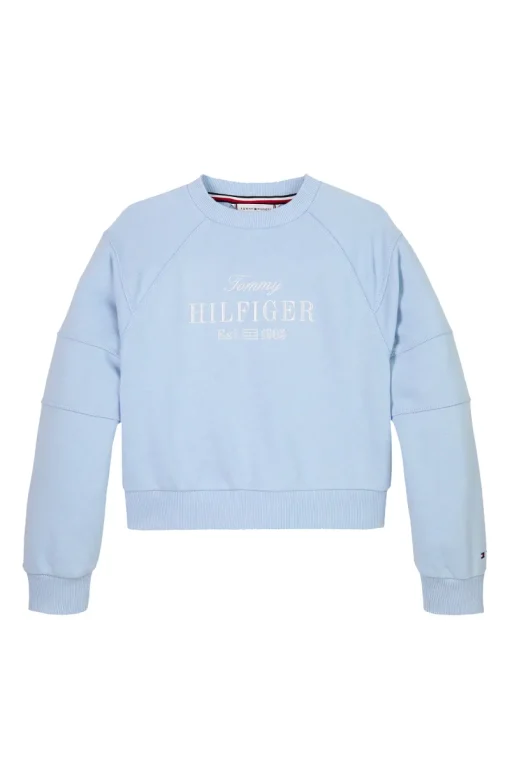 Tommy Hilfiger Truien & Vesten^Meisjes sweater blauw