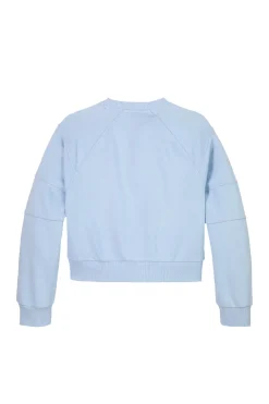 Tommy Hilfiger Truien & Vesten^Meisjes sweater blauw