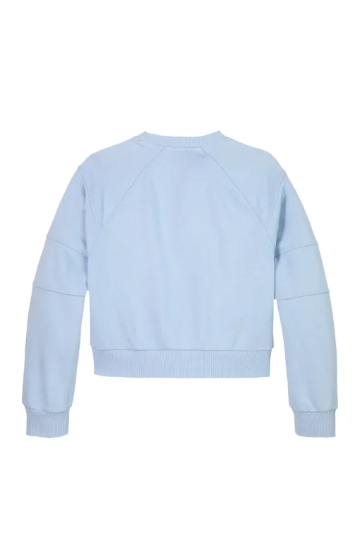Tommy Hilfiger Truien & Vesten^Meisjes sweater blauw