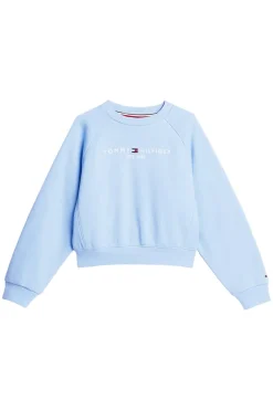 Tommy Hilfiger Truien & Vesten^Meisjes sweater blauw
