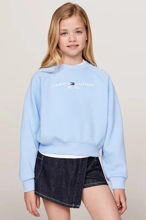 Tommy Hilfiger Truien & Vesten^Meisjes sweater blauw