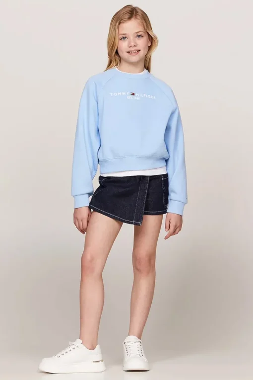 Tommy Hilfiger Truien & Vesten^Meisjes sweater blauw