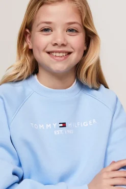 Tommy Hilfiger Truien & Vesten^Meisjes sweater blauw