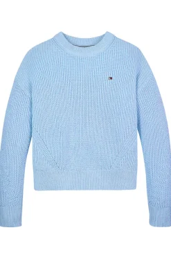 Tommy Hilfiger Truien & Vesten^Meisjes sweater blauw