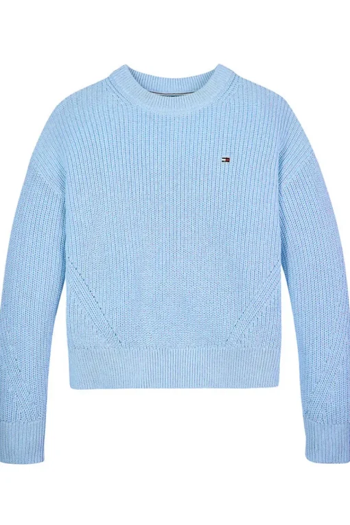 Tommy Hilfiger Truien & Vesten^Meisjes sweater blauw