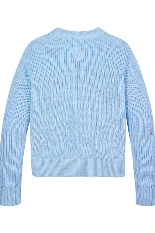 Tommy Hilfiger Truien & Vesten^Meisjes sweater blauw
