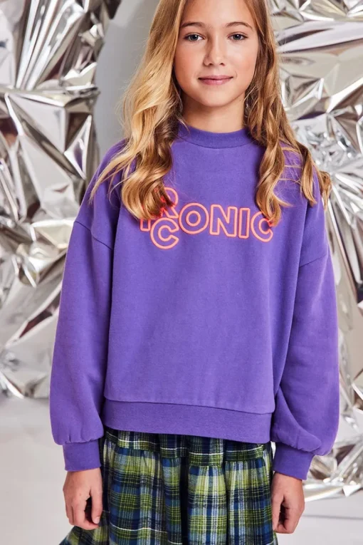 AO76 Truien & Vesten^Meisjes sweater paars