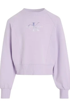 Calvin Klein Truien & Vesten^Meisjes sweater paars