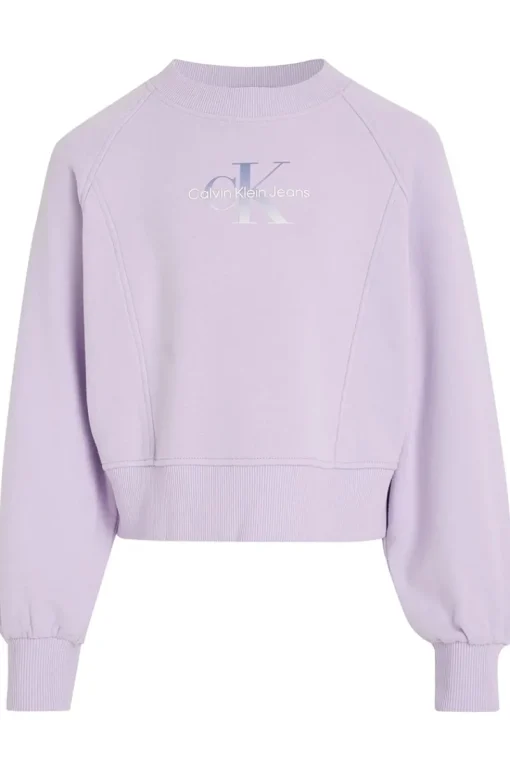 Calvin Klein Truien & Vesten^Meisjes sweater paars