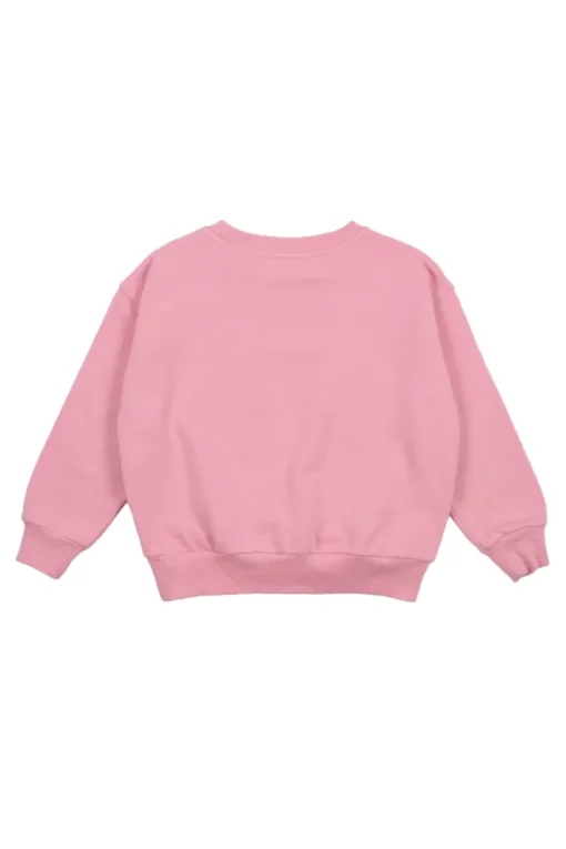 The New Society Truien & Vesten^Meisjes sweater rose