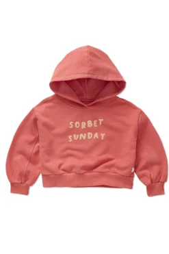 Sproet & Sprout Truien & Vesten^Meisjes sweater rose