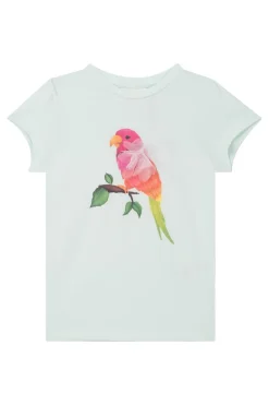 Someone T-shirts & Polo's^Meisjes t-shirt korte mouw groen