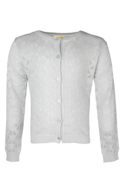 Someone Truien & Vesten^Meisjes vest zilver