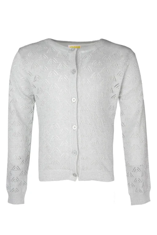 Someone Truien & Vesten^Meisjes vest zilver