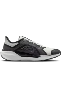 Nike Schoenen^Runningschoenen heren nt zwart